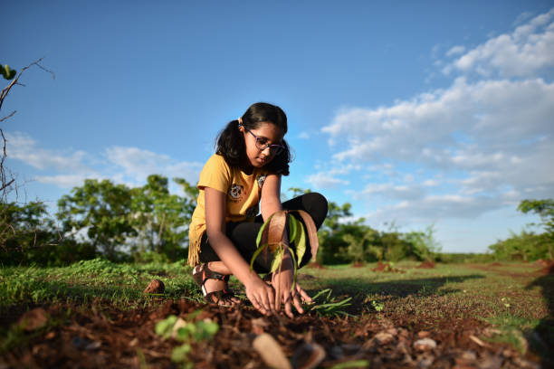 istock Preadolescent girl planting a tree 1252262802