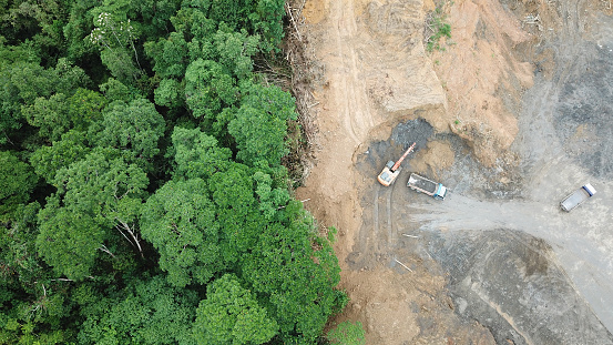 Logging. Aerial drone view of deforestation environmental problem in Borneo