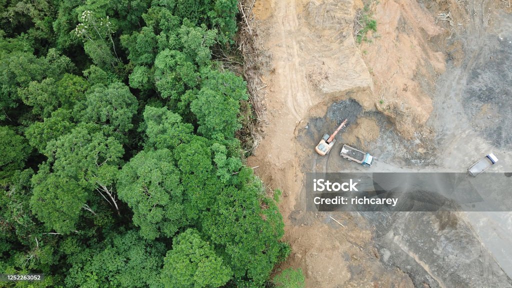 Deforestation Logging. Aerial drone view of deforestation environmental problem in Borneo Deforestation Stock Photo
