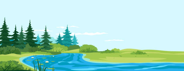 ilustraciones, imágenes clip art, dibujos animados e iconos de stock de pequeño paisaje de la naturaleza del río - pine wood forest river