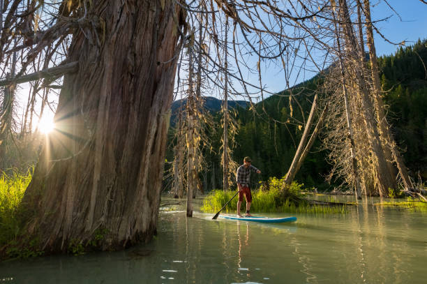 istock Paddleboard adventure in the mountains 1252264933