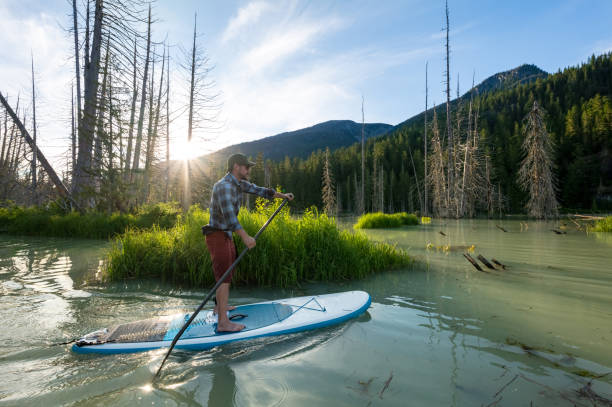 istock Paddleboard adventure in the mountains 1252264936