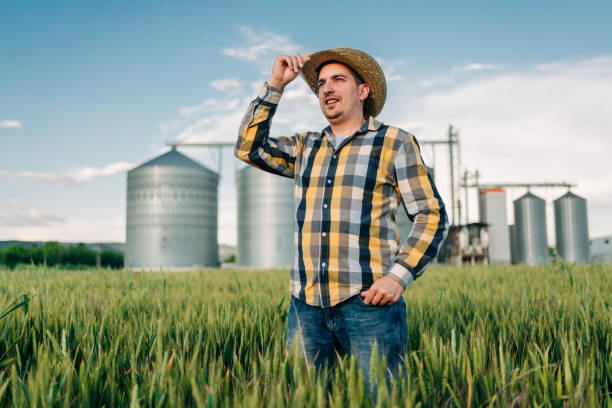 istock A young farmer inspecting cereals 1252269008