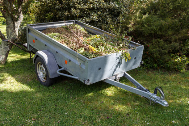 istock Trailer full of garden waste 1252269841