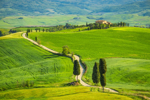 istock Landscape with a cypresses lined path near Pienza town. 1252274344