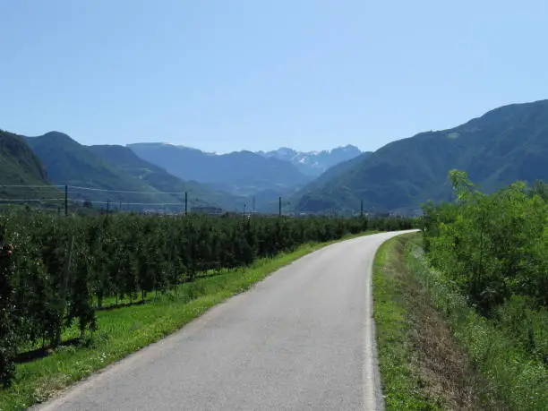 Cycle path in Trentino