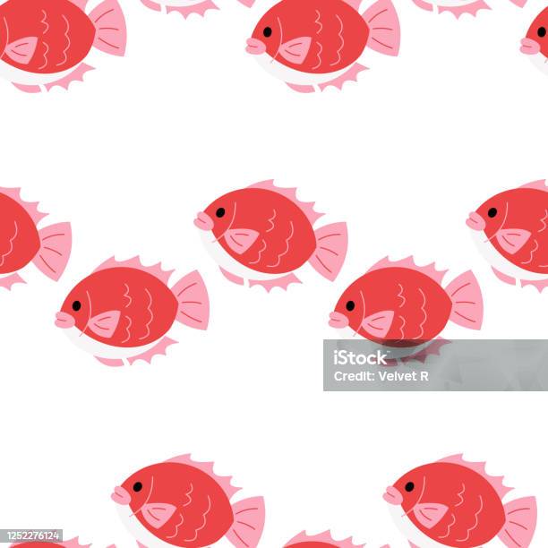 Bream Pattern Sea Bream Seamless Pattern Stock Illustration - Download Image Now ...