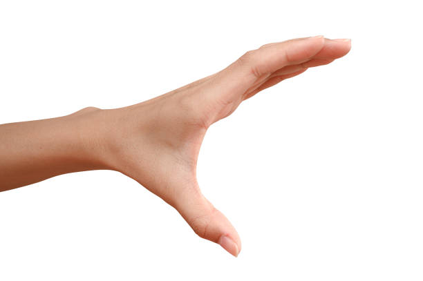istock hand holding something like a bottle or can 1252277011