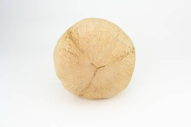 Tropical fruit coconut isolated on white background.
