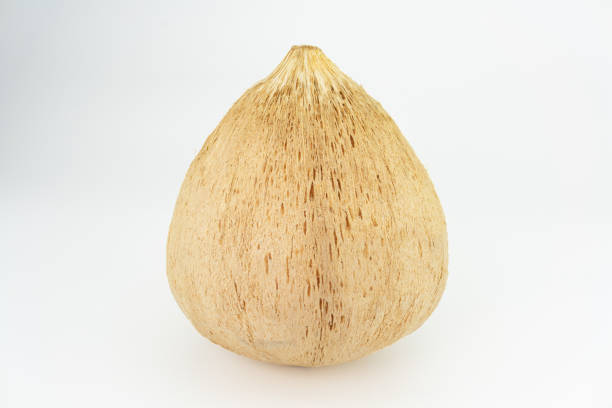 Tropical fruit coconut isolated on white background.