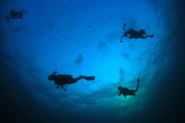 istock Scuba diving on coral reef with fish 1252282737