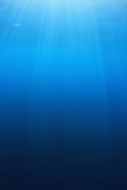 istock Underwater background photo 1252282760