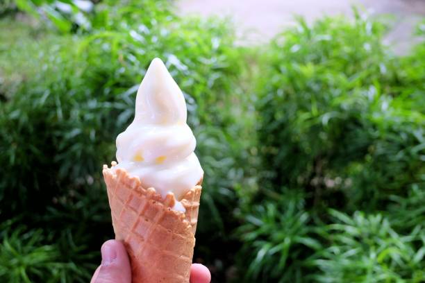 a fuoco selettivo una mano femminile che tiene un cono di gelato alla vaniglia con sfondo di natura verde in un'area giardino - close up women horizontal citrus fruit foto e immagini stock