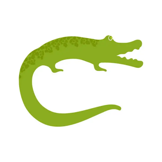 Vector illustration of Crocodile colorful flat icon in Cartoon Style. Vector Illustration.