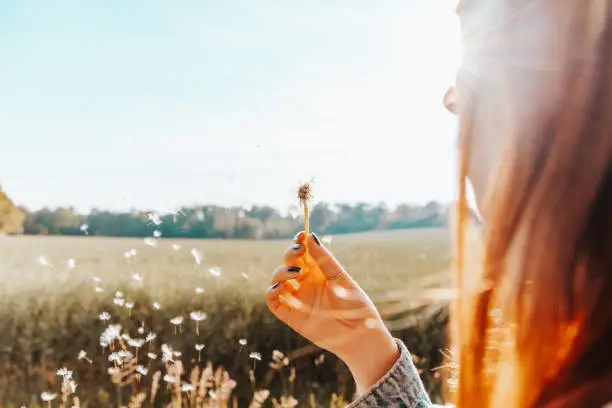 Wishes and Hope Concept. Young woman blowing a dandelion flower on summer field. Shot from behind against summer field and sun. Youth Culture Summer Outdoor Lifestyle Portrait.