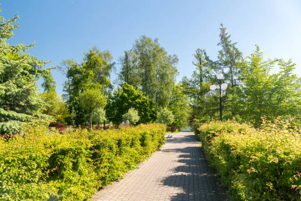 istock View in Aviators' Park in Mragowo, Poland. 1252288005