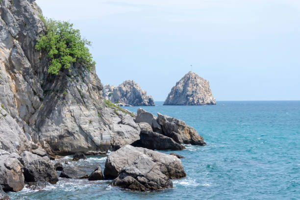 istock rocky coast of Chekhov Bay 1252292755