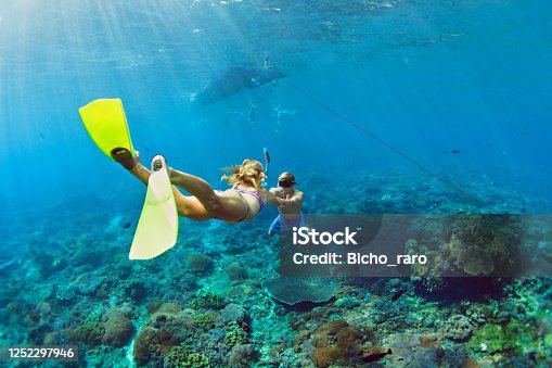istock Young couple in snorkeling mask free dive underwater in sea 1252297946