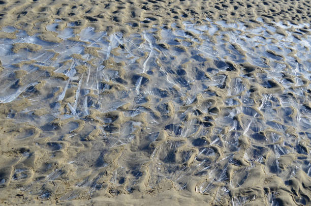 istock Waves of beach sand covered with ice 1252299836