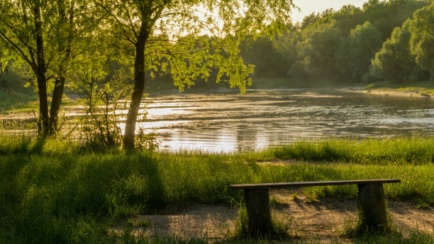istock empty bench by the lake in the rays of the setting sun 1252303911