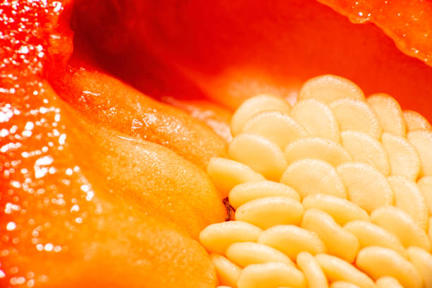 Detailed closeup photo of capsicum