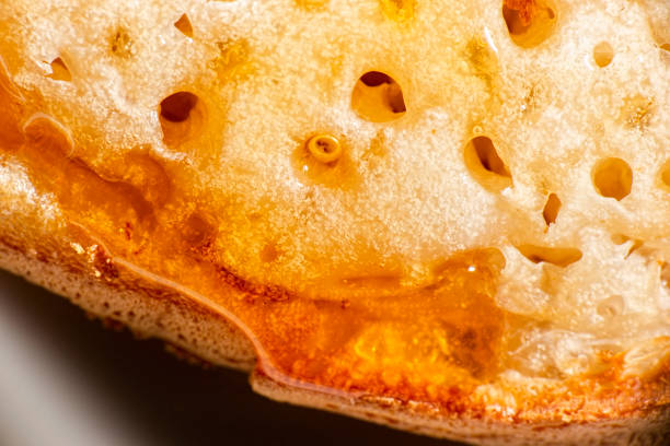 Macro photo of a toasted crumpet