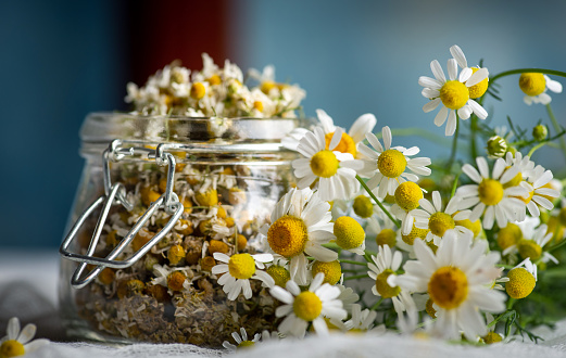 Chamomile tea crop daisy flowers in a glass jar