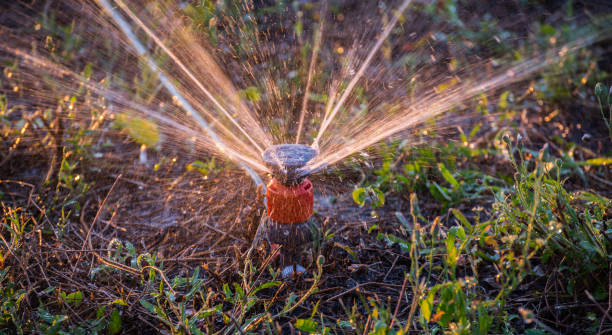 Spraying water on green lawn stock photo