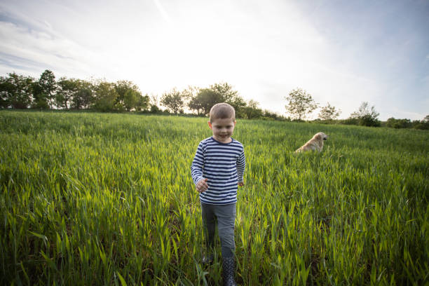 Four years old boy running in a green field during sunset.