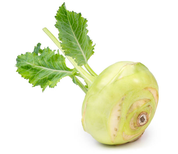 kohlrabi verde con foglie verdi su sfondo bianco isolato. - kohlrabi turnip kohlrabies cabbage foto e immagini stock