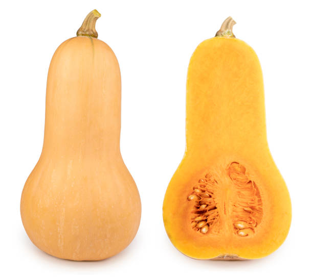 Fresh butternut squash isolated on a white background, Butternut Pumpkin isolated on white background