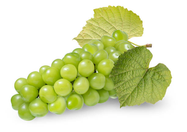 istock Fresh Green grape with leaves isolated on white. Shine Muscat Grape on white With clipping path. 1252323499