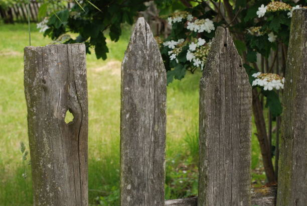istock Old fence rustic chik background photo 1252340798