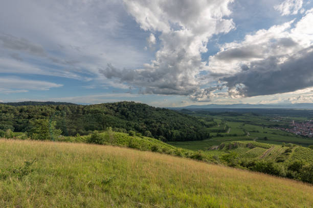 istock Extinct volcano in the Kaiserstuhl mountain range 1252362214
