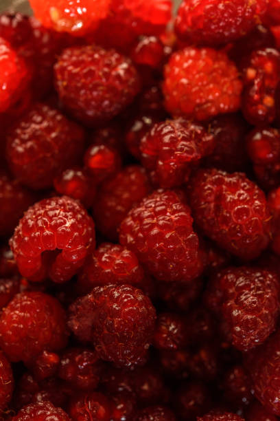 Fruit salad with raspberries and currants