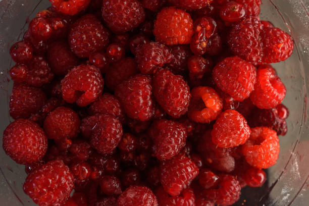 istock Fruit salad with raspberries and currants 1252362257