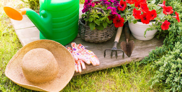 istock Gardening tools and straw hat on the grass in the garden 1252364220