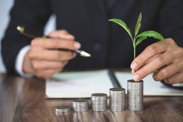 how to do a free credit report