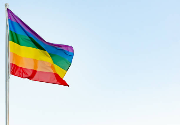 lhbti concept: lgbt regenboogvlag op een paal zwaaien in de wind - queer flag stockfoto's en -beelden