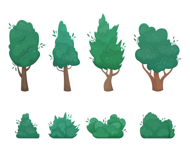 istock Set of 8 flat vector trees and bush in cartoon style. A set for creating your own design. 1252381380