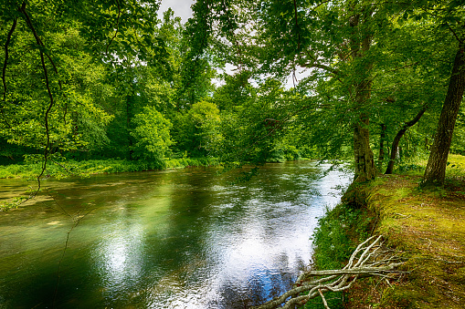 At water's edge of the Duck River along the Natchez Trace parkway in Tennessee,