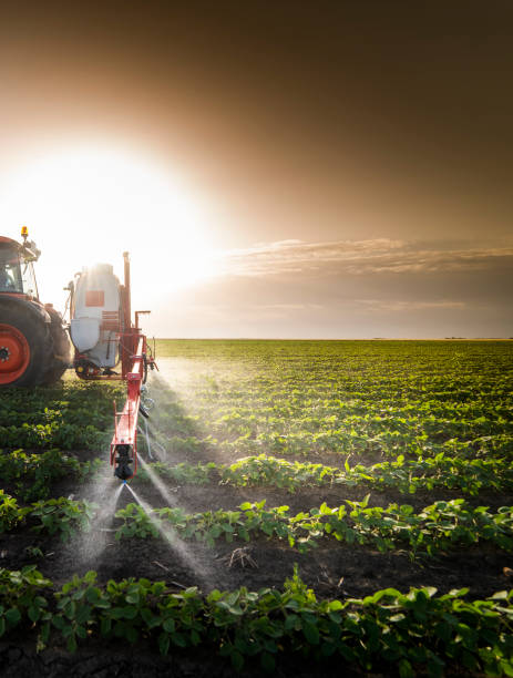 трактор распыления пестицидов на соевом поле с опрыскиватель весной - spraying crop sprayer farm agriculture стоковые фото и изображения