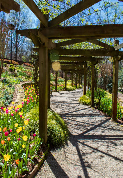 istock Fields of Flowers 1252388999