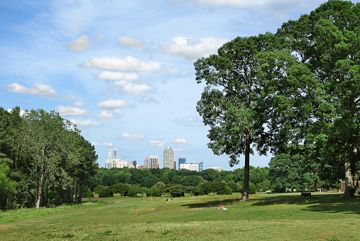 View of the Raleigh North Carolina downtown skyline from Dix park