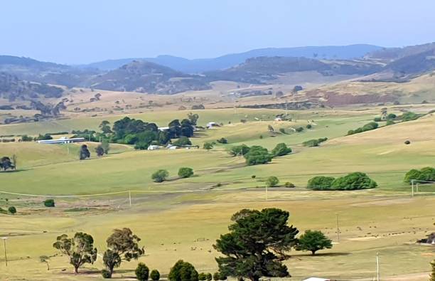 istock Tasmanian countryside 1252389318