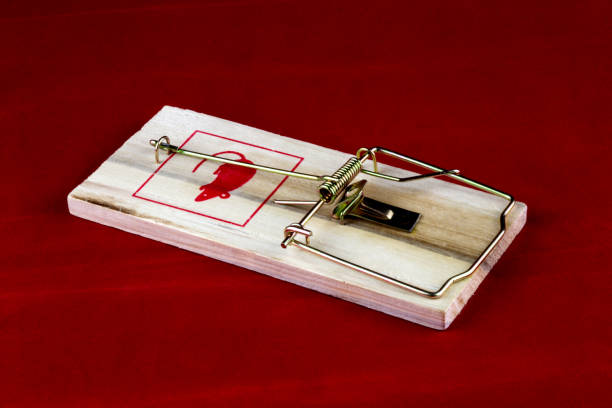 istock Wooden Mouse Trap on a Red Background 1252391942