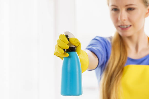 istock Woman cleaning window at home 1252393797