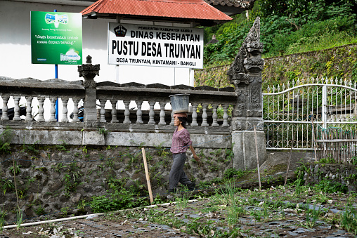 Trynian, Bali, Indonesia - January 11, 2014: Balinese Woman Carrying Large Bucket On Head