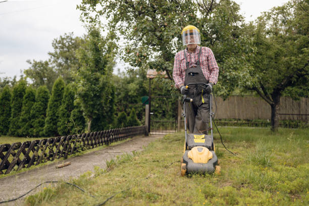 istock Senior Adult Man Doing Yardwork 1252394319