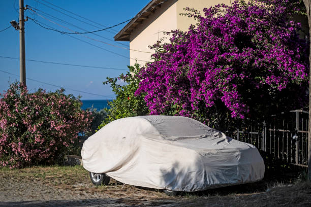 istock Covered Car, Izmir, Turkey 1252394819